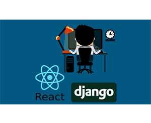 React & Django Full Stack: web app, backend API, mobile apps