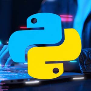 Python Bootcamp: 30 Hours Of Step By Step Python Lessons