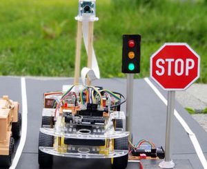 Build Your own Self Driving Car