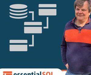 EssentialSQL: Data Modeling & Relational Data Architecture