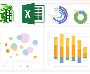 Advanced Microsoft Interactive and Dynamic Excel Dashboard