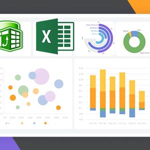 Advanced Microsoft Interactive and Dynamic Excel Dashboard