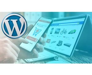 Advanced Wordpress Course for Professionals