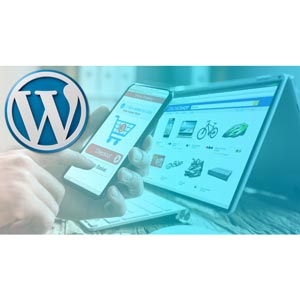 Advanced Wordpress Course for Professionals