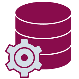 PL/SQL Developer icon