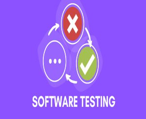 Software Testing