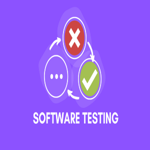 Software Testing