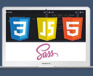 Build Amazing Websites w/ HTML, CSS, Sass, JavaScript & More