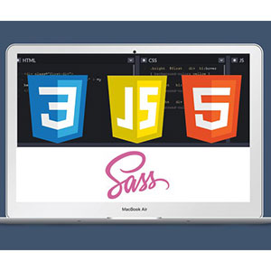 Build Amazing Websites w/ HTML, CSS, Sass, JavaScript & More