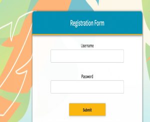 Download Building Great Forms with HTML and CSS