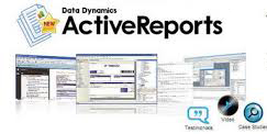 Download DataDynamics ActiveReports ActiveX 2.5.0.1322