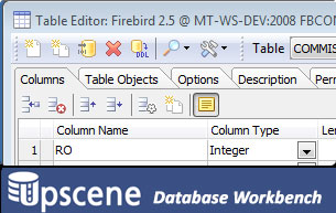 Database Workbench