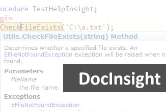 Download DevJet Documentation Insight Enterprise 3.8.11.27 XE10-XE10.3 Rio