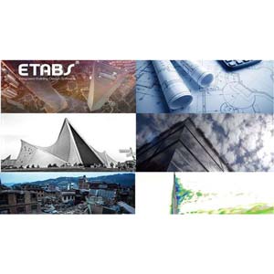 ETABS-PROFESSIONAL RC BUILDING DESIGN