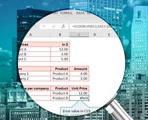 Excel Modeling for Professionals: Best Practices & Pitfalls