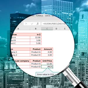 Excel Modeling for Professionals: Best Practices & Pitfalls