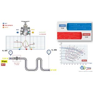 Flow of fluids through piping systems , valves and pumps