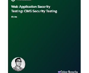 Web Application Security Testing: CMS Security Testing