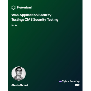 Web Application Security Testing: CMS Security Testing