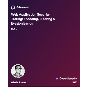 Web Application Security Testing: Encoding Filtering & Evasion Basics