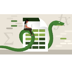 Using Python with Excel