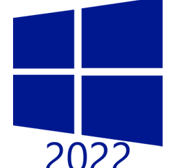 Windows Server 2022 icon