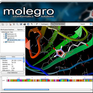 Molegro Virtual Docker
