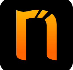 Netsparker icon