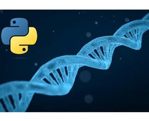 Optimization with Genetic Algorithms: Hands-on Python