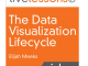 The Data Visualization Lifecycle