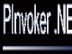 Download PInvoker 1.3.3 - Free software download
