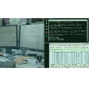 Network Protocols for Security: DNS