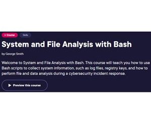 System and File Analysis with Bash