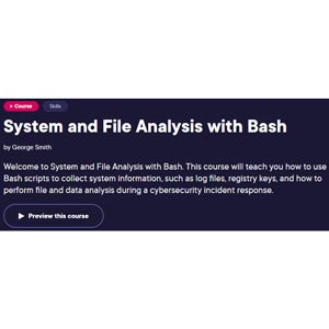 System and File Analysis with Bash