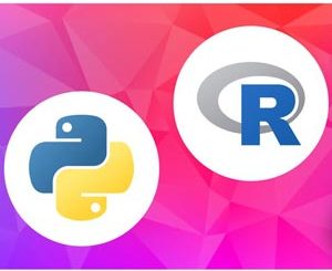 Python & Data Science with R