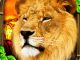 Safari Simulator Lion
