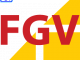 FEMGV icon