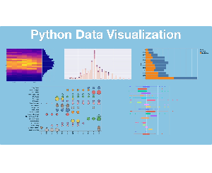 Python Data Visualization Course