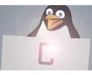 The Beginner's guide to Advanced C programming for Linux