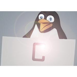 The Beginner's guide to Advanced C programming for Linux