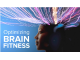 Download The Great Courses - Optimizing Brain Fitness 2019-11