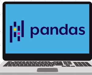 The Ultimate Pandas Bootcamp: Advanced Python Data Analysis