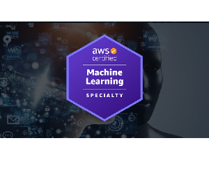 AWS Certified Machine Learning Specialty 2024 - Hands On(V2)