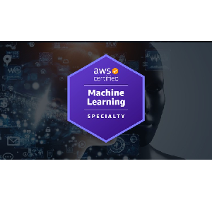 AWS Certified Machine Learning Specialty 2024 - Hands On(V2)