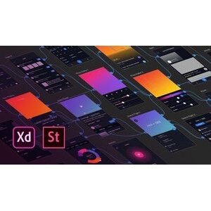 Adobe XD UI & UX Design with 14 real world project 2020 tut