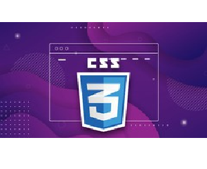 Download Udemy - Advanced CSS: Functions, Selector, Grid, Flex, Sass And More 2023-8