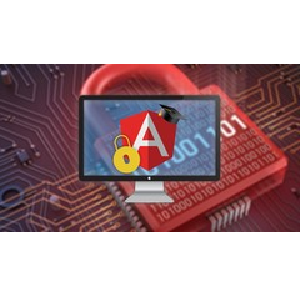 Angular Security Masterclass (with FREE E-Book)