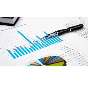 Banking Credit Analysis Process (for Bankers)