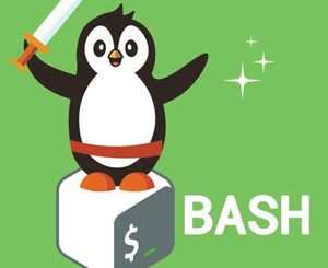 Bash Mastery: The Complete Guide to Bash Shell Scripting