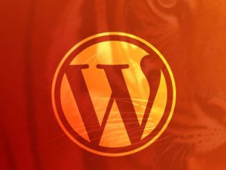 WordPress Developer Unlocking Power With Code